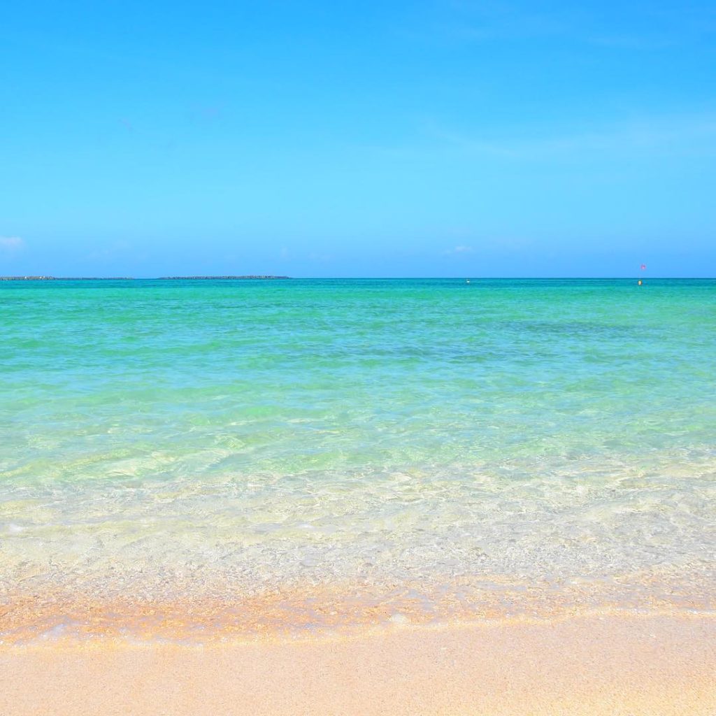 0712-udunusu-namiuchigiwa