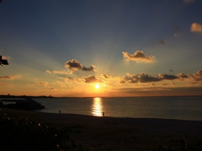 【茶花】ウドゥヌスー